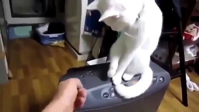 Пусть будет закрыто!