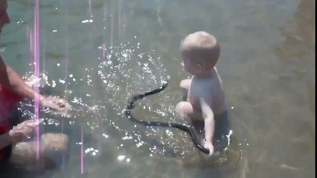 Шок! У кого слабые нервы лучше не смотрите!!