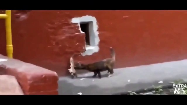 Украсть - украл, а вот как это пронести)