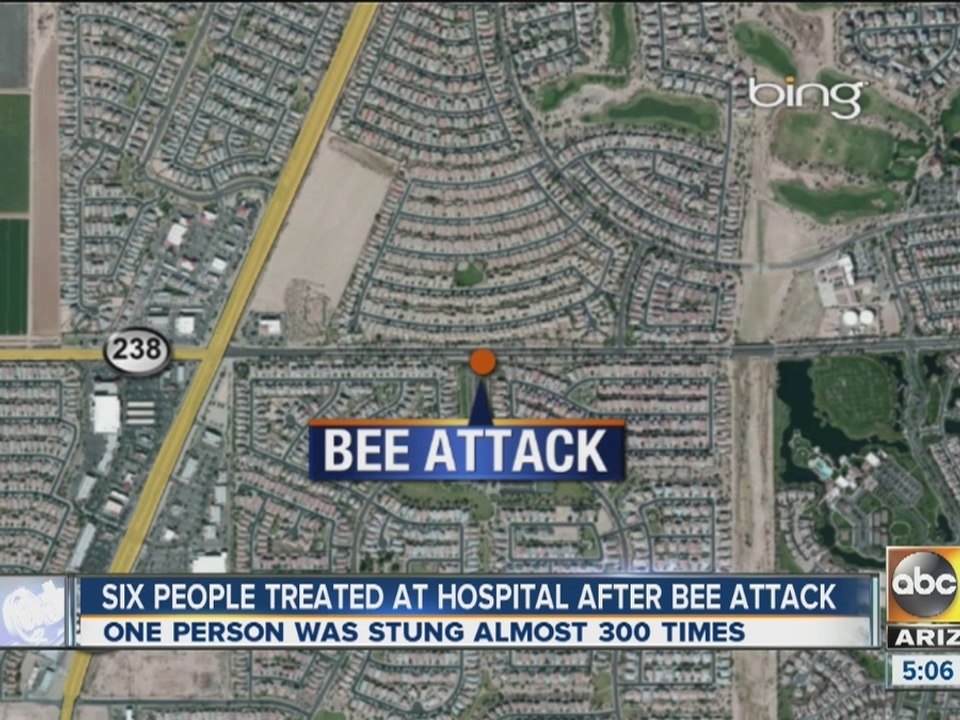 Maricopa bee attack sends six to hospital