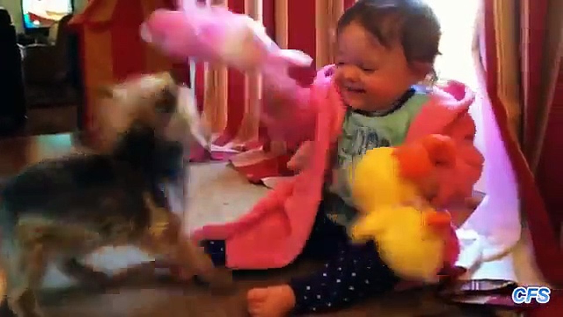 Quem vai ganhar as crianças e cães brincando de cabo de guerra