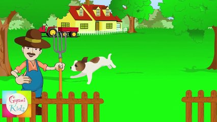 BINGO - Dog Song Nursery Rhyme   Kids Animation Rhymes For Children