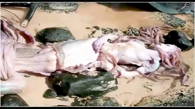 это надо видеть