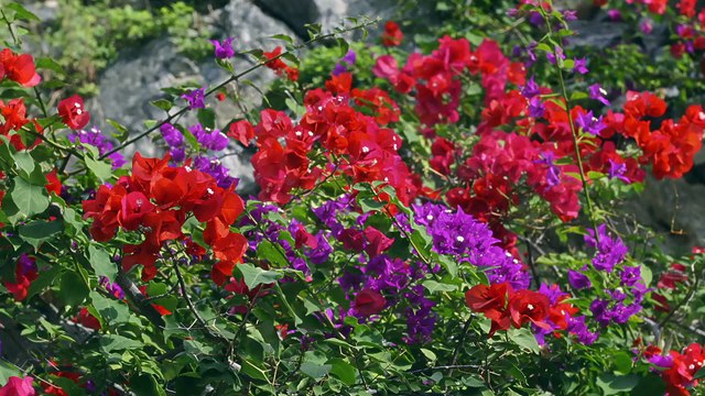 Liên Khúc Chiều Mưa 4 (Liên Khúc 1) - Trường Vũ ft. Mạnh Đình ft. Lâm Thúy Vân ft. Diệp Thanh Thanh_FHD