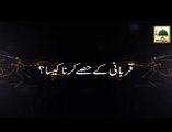 Qurbani Kay Hissey Karna Kesa - Short Bayan - Maulana Ilyas Qadri