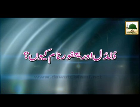 Duldul Aur Yafoor Naam Kyon - Short Bayan - Maulana Ilyas Qadri Bayan