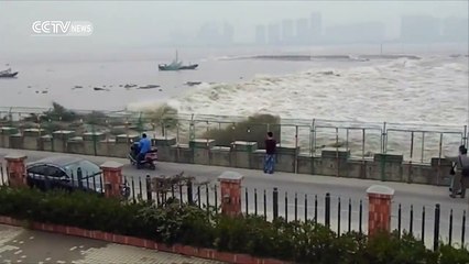Footage Visitors washed away by strong Qiantang tidal bore