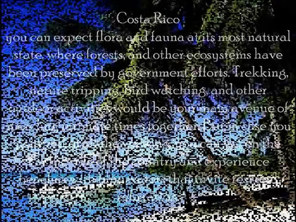 Realistix Solutions: Best Places To Go For Your Honeymoon