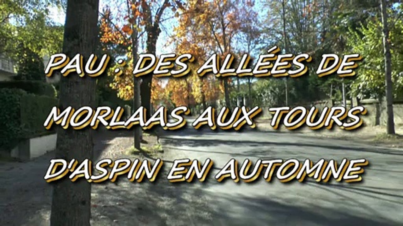 LES PROMENADES DE MICHOU W-D.D. - 30 OCTOBRE 2015 - DES ALLÉES DE MORLAAS AUX TOURS D'ASPIN EN AUTOMNE.