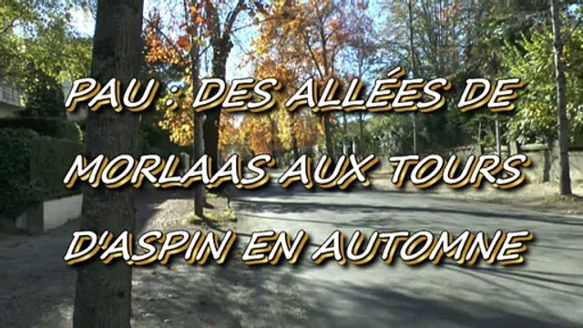 LES PROMENADES DE MICHOU W-D.D. - 30 OCTOBRE 2015 - DES ALLÉES DE MORLAAS AUX TOURS D'ASPIN EN AUTOMNE.