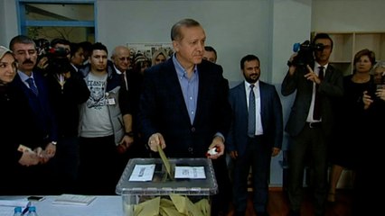 Turquie: majorité absolue de l'AKP au Parlement, Erdogan forme son nouveau gouvernement