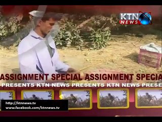 Special Assignment Ep. # 191 01st October 2015