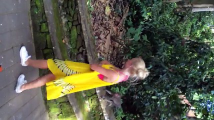 Bule Cantik Bermain Bersama Monyet Di Bali