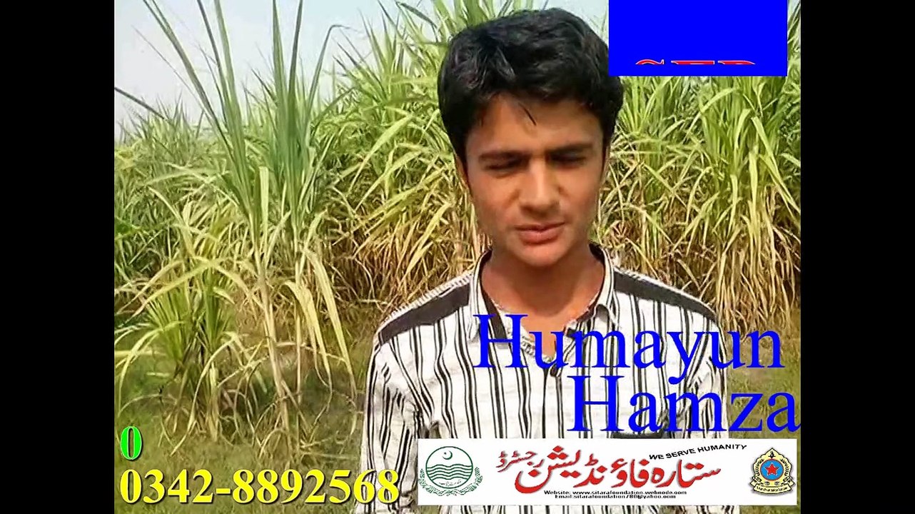 Humayun Hamza