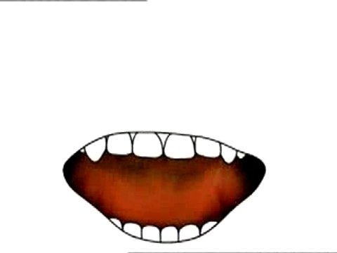 Petra & Jean-François Jean-Luc Verna