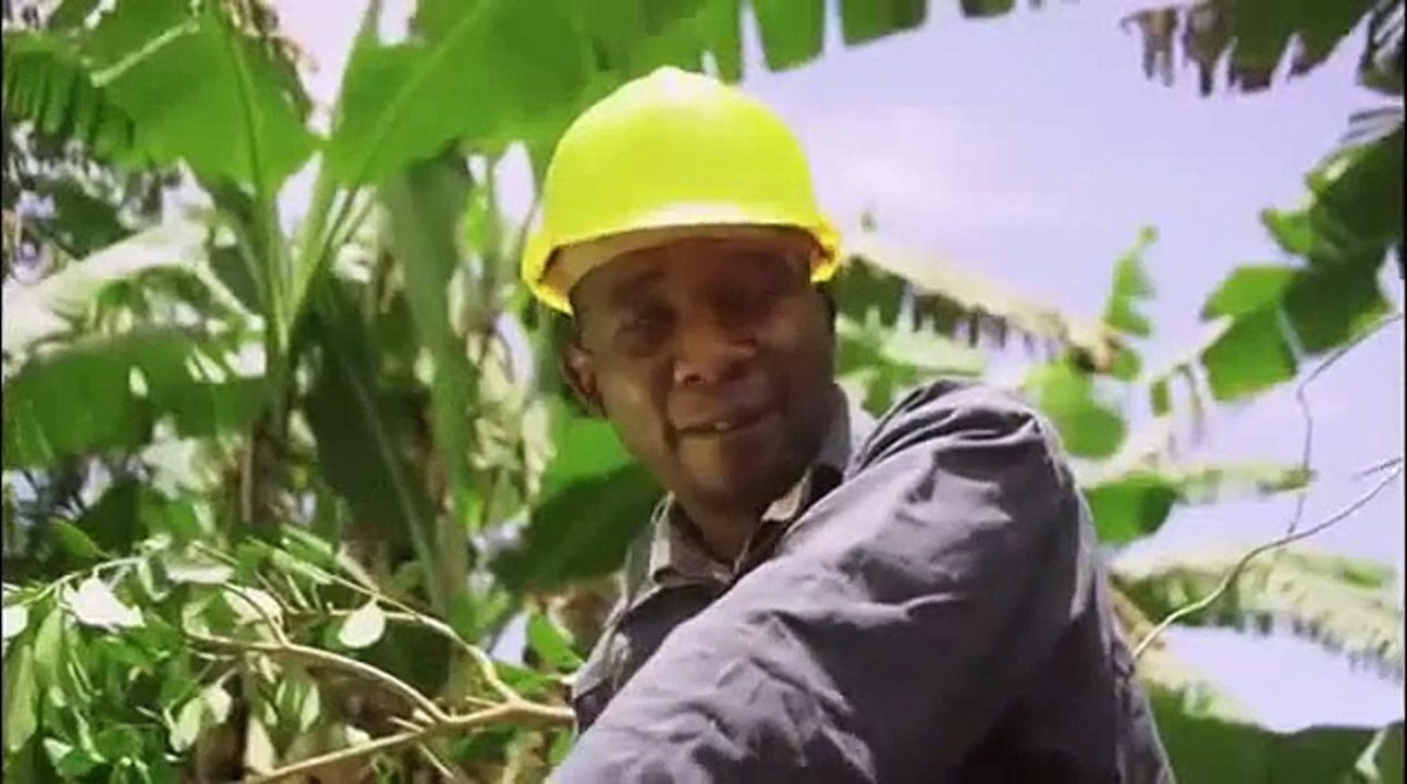Bwerere Jose Chameleone (Official video) New Ugandan african  music 2015 etv music television