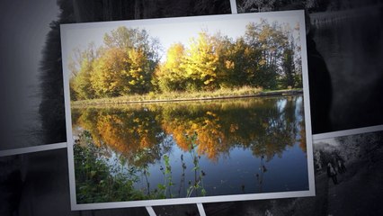 couleurs d'automne