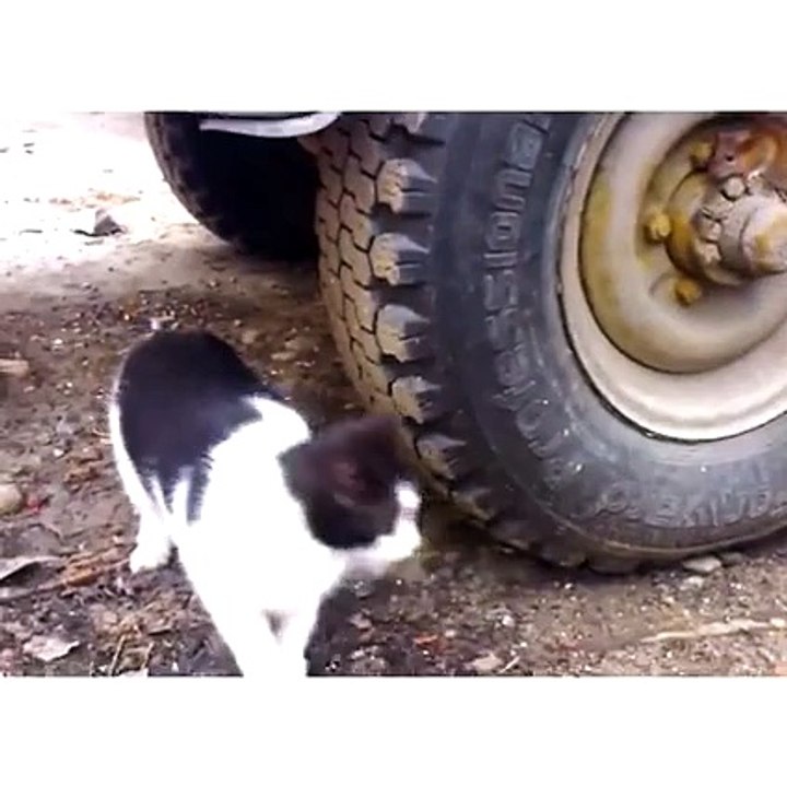 You can't See Me. You can't See Me.You can't See Me.You can't See Me.You can't See Me.You can't See Me.You can't See Me.