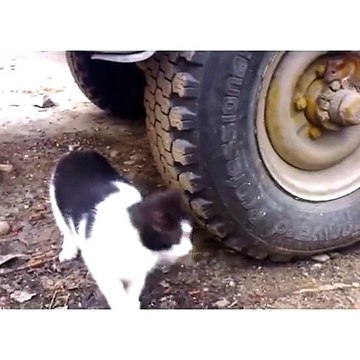 You can't See Me. You can't See Me.You can't See Me.You can't See Me.You can't See Me.You can't See Me.You can't See Me.