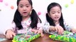 Kracie 昆虫グミ図鑑 Beetle gummy candy making kit