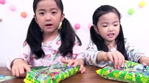 Kracie 昆虫グミ図鑑 Beetle gummy candy making kit