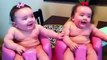 Funny Twin babies Laughing, Crying, and then Laughing again - Funny Babies Videos