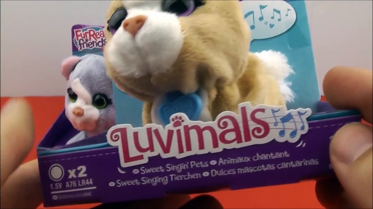 FurReal Friends Luvimals Singing Kitten and Bunny Hasbro Kids Toy Review