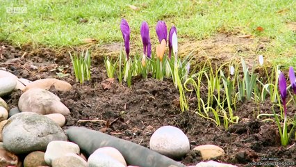 Escape to the Country Devon Part 1 of 3 [12: 28]