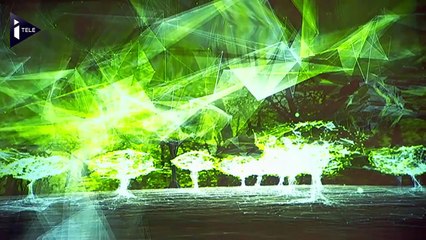 La Tour Eiffel rhabillée pour la COP21