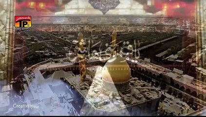 Syed Raza Abbas Zaidi -Noha 2016- HY MYRA BHAI KAHN ''