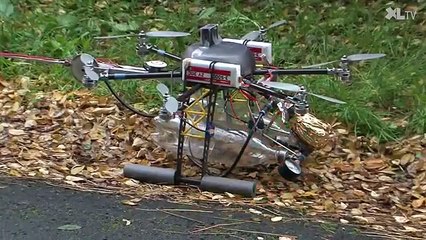 Ils utilisent un drone pour venir à bout d'un nid de frelons asiatiques