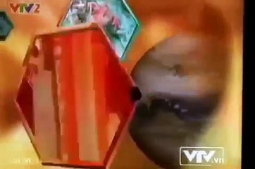 Cheetah wild life | Animals Attack | Documentary 2015