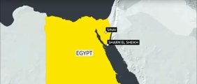 Russian Plane Crash Live Video: 220 People Onboard Crashes In Sinai, Egypt