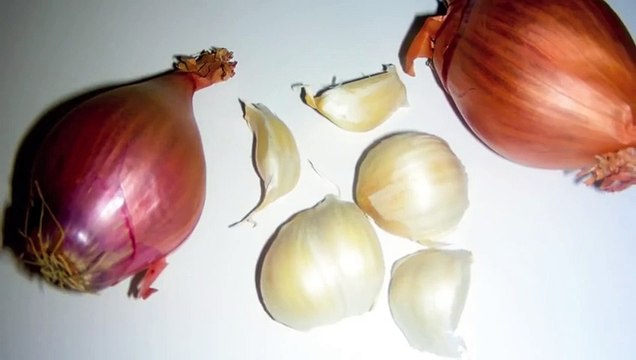 Vegetarian Lasagna Recipe - Home Made Healthy Italian Food with Fresh Herbs