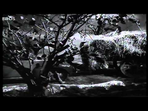 Kyu Unhe Dil Diya (Video Song) | Anokhi Ada| Surendra | Naseem Banoo | Surendra | Shamshad Begum