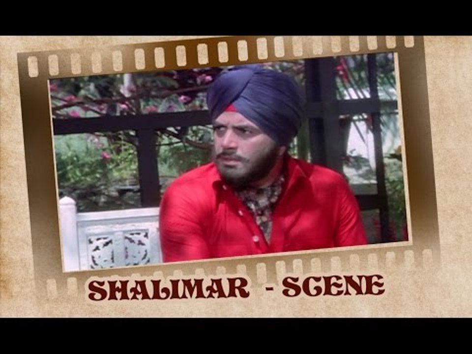 The black money business - Shalimar