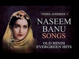 Naseem Banu Songs - Jukebox 1 - Old Hindi Evergreen hits