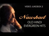 Naushad Ali Songs - Jukebox 2 - Old Hindi Evergreen hits