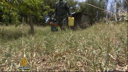 Human waste fuels Kenyan homes