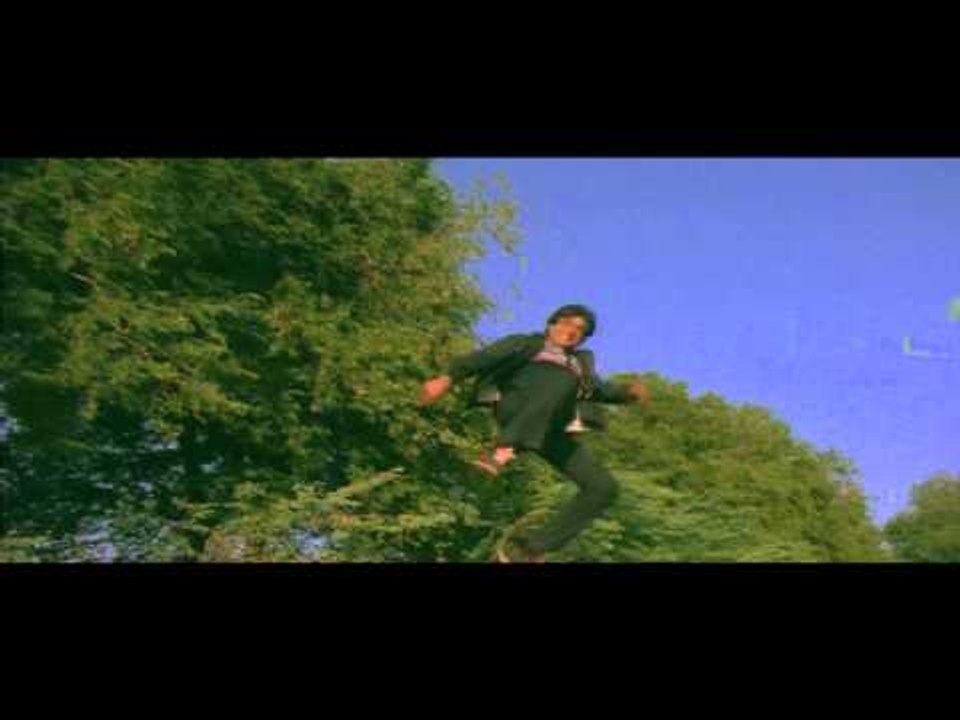 CROUCHING TIGER FLYING JEETU