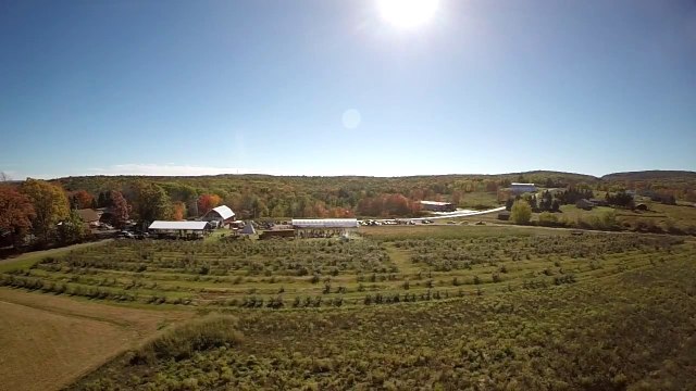 Pumpkin Cannon Shoots Drone out of the Sky