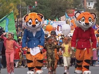 Vladimir Poutine, grand sauveteur des tigres sauvages