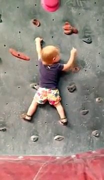 Un Bébé de 18 mois gravi seul un Mur d'Escalade