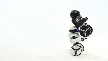 Meet MiP™, Your New Robot Friend!