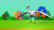KZKCARTOON TV - Learn English Birds Names - 3D Animation Preschool Nursery rhymes for children with Lyrics