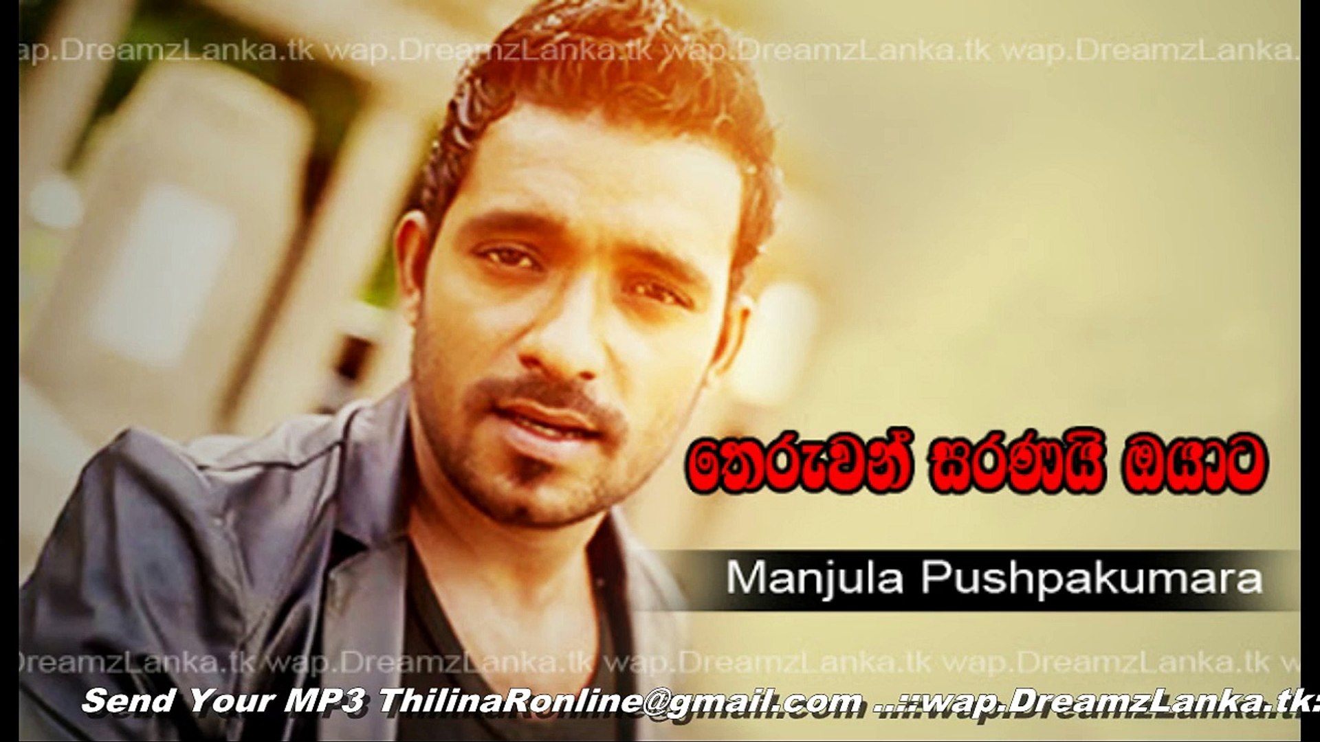 theruwan saranai oyata video song