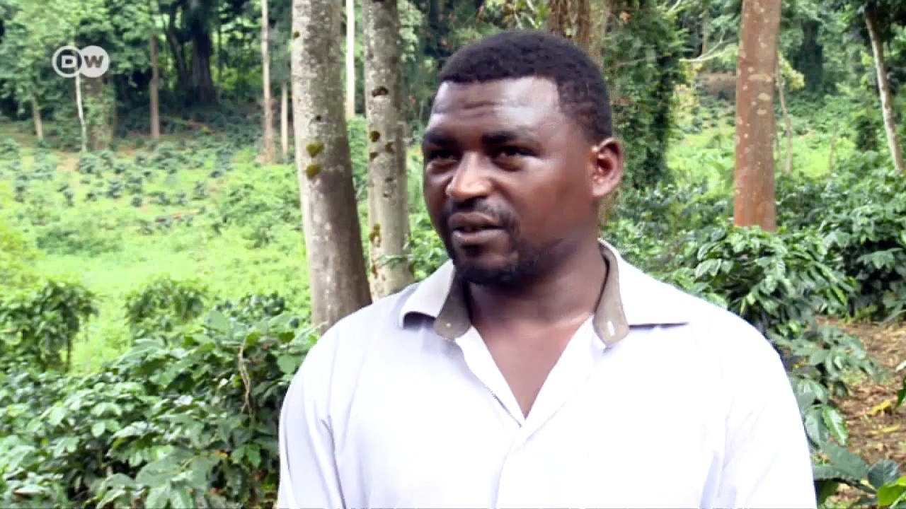 Fighting to save a sacred forest | Environment