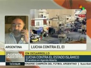 Moussa: Siria debería estar en negociaciones de Viena