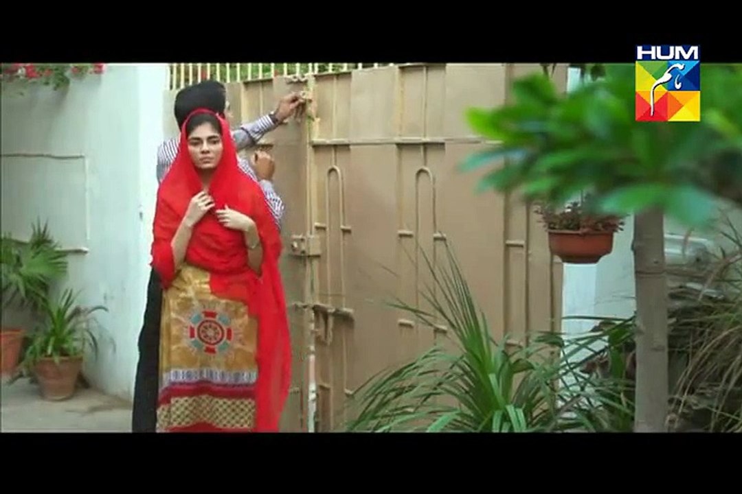 Akeli Episode 72 on Hum Tv