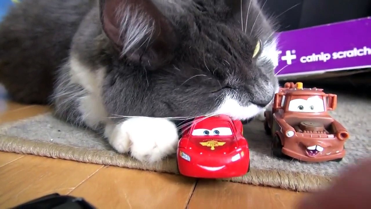 Pixar Cars and Pussy Cats with Lightning McQueen, Stunt Mater, Sally and Sheriff